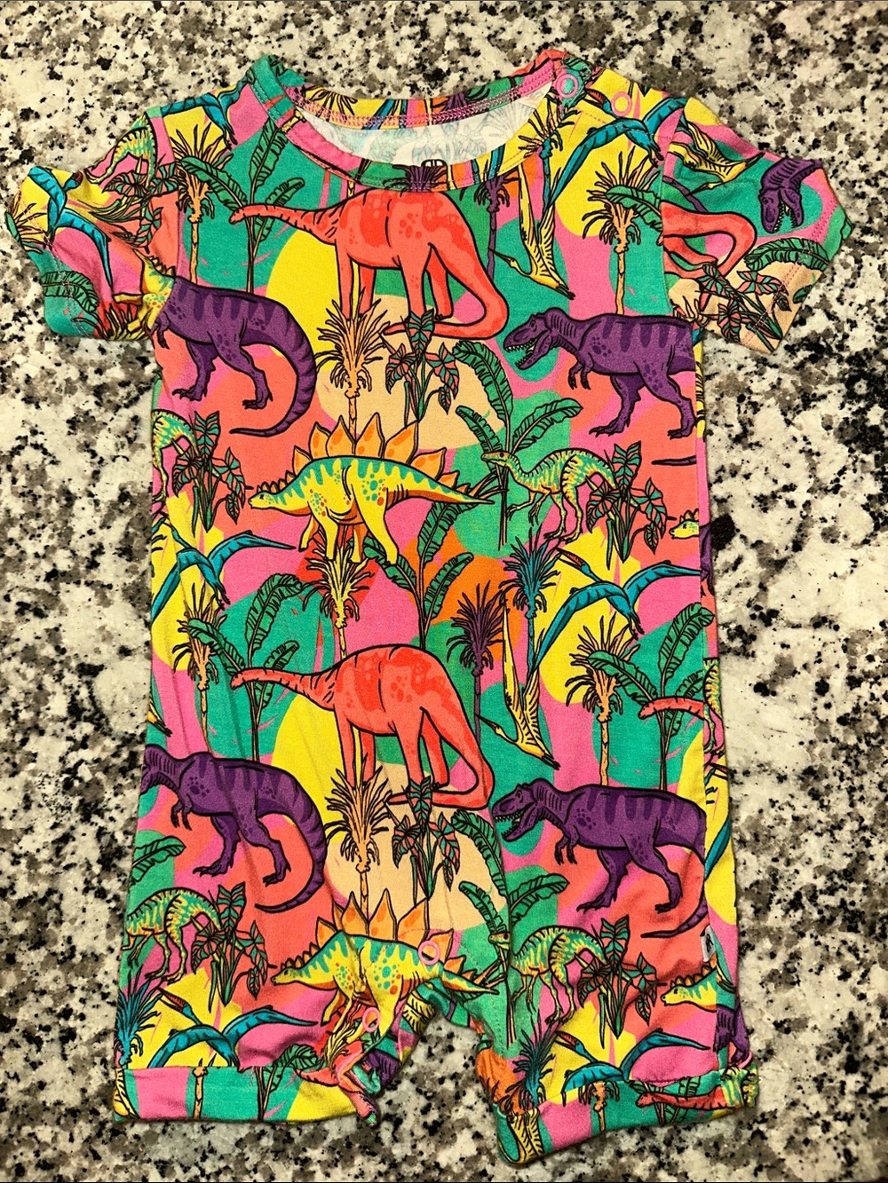 Bums and Roses Bamboo shortie Colorful Dinosaur Print Baby Romper - Multicolor